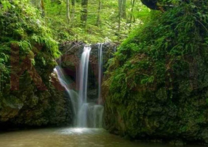 Продажа земельного участка, 300 сот. фото 1