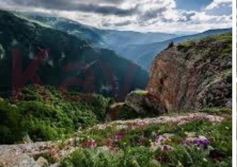 Продажа земельного участка, 300 сот. фото 0 Продажа земельного участка, 300 сот. фото 0