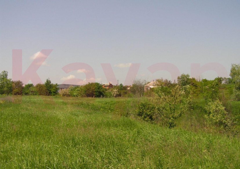 Продажа земельного участка, 100 сот. фото 3