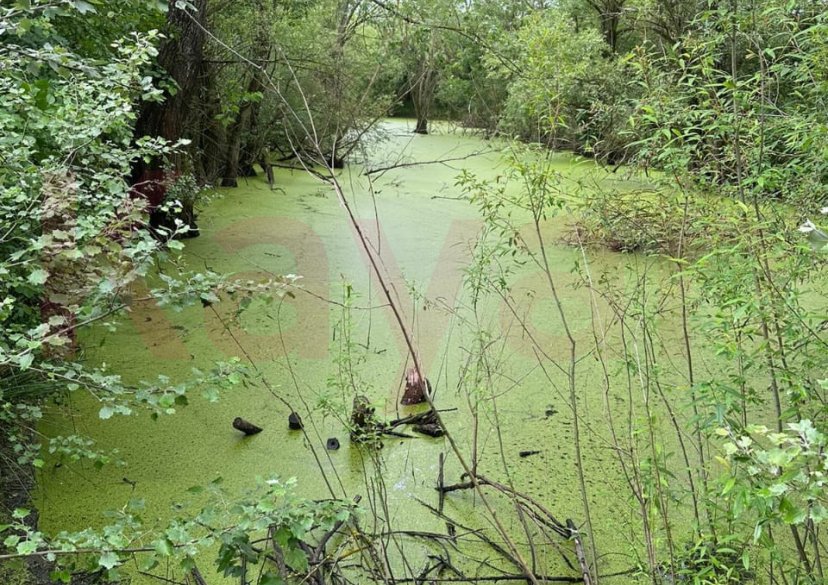 Продажа земельного участка, 100 сот. фото 9