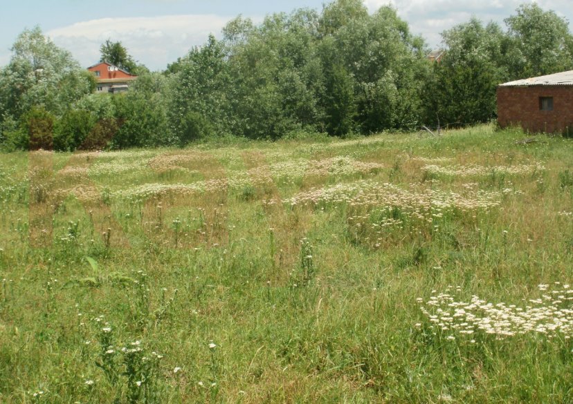 Продажа земельного участка, 100 сот. фото 2 Продажа земельного участка, 100 сот. фото 2
