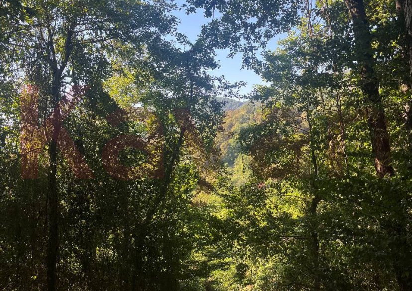 Продажа земельного участка, 130 сот. фото 1