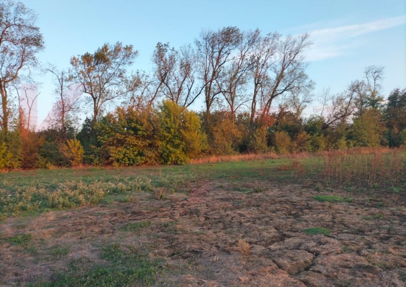 Продажа земельного участка, 12 сот. фото 1