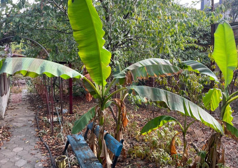 Продажа земельного участка, 5 сот. фото 4