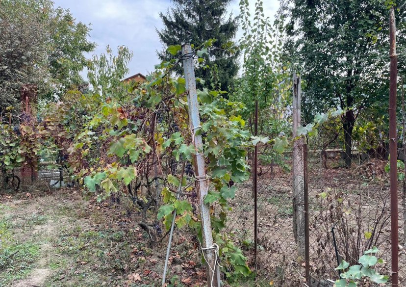 Продажа земельного участка, 5 сот. фото 7
