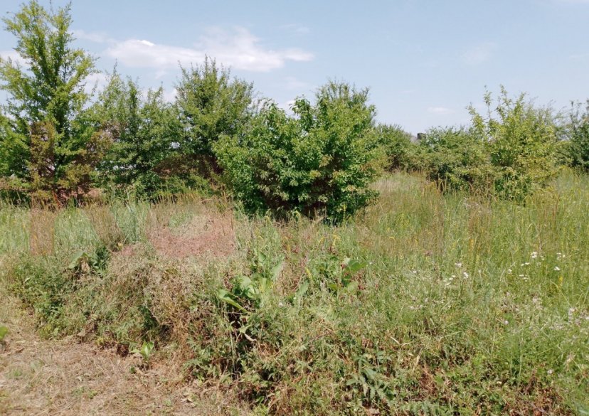 Продажа земельного участка, 5 сот. фото 4 Продажа земельного участка, 5 сот. фото 4