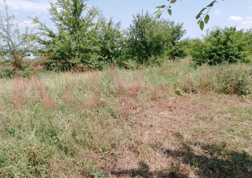 Продажа земельного участка, 5 сот. фото 3 Продажа земельного участка, 5 сот. фото 3