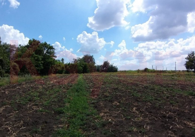 Продажа земельного участка, 30 сот. фото 4 Продажа земельного участка, 30 сот. фото 4