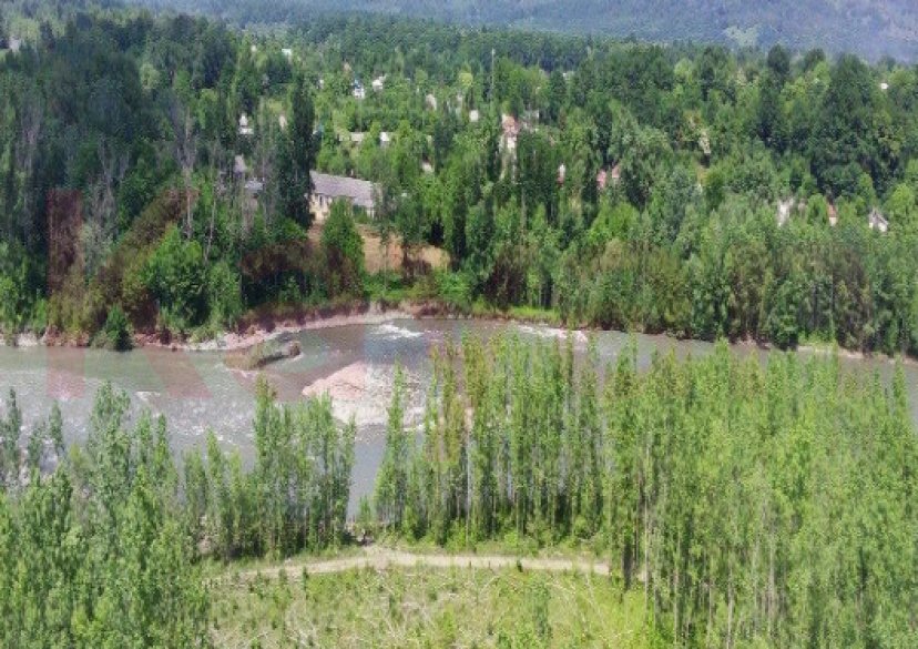 Продажа земельного участка, 46 сот. фото 2