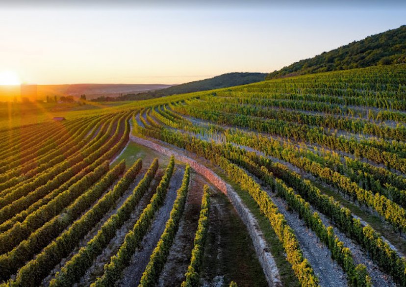 Продажа земельного участка, 67000 сот. фото 0