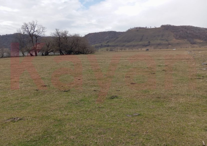 Продажа земельного участка, 300 сот. фото 0