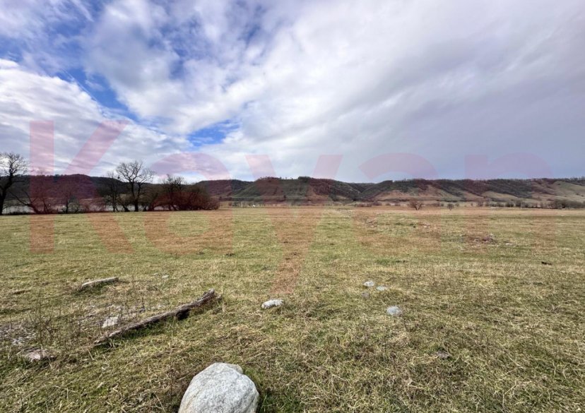 Продажа земельного участка, 300 сот. фото 5