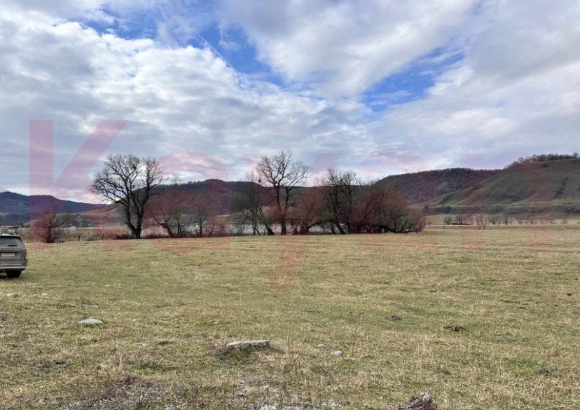 Продажа земельного участка, 300 сот. фото 6