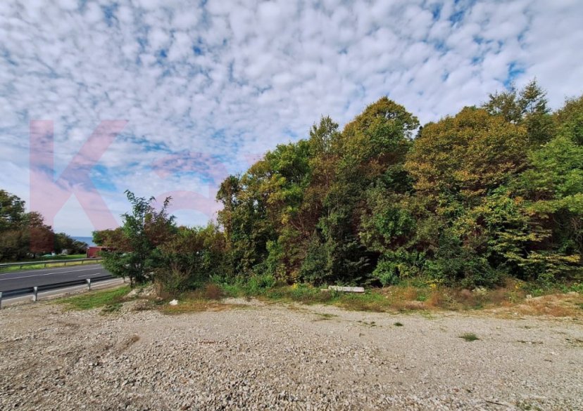 Продажа земельного участка, 40 сот. фото 3