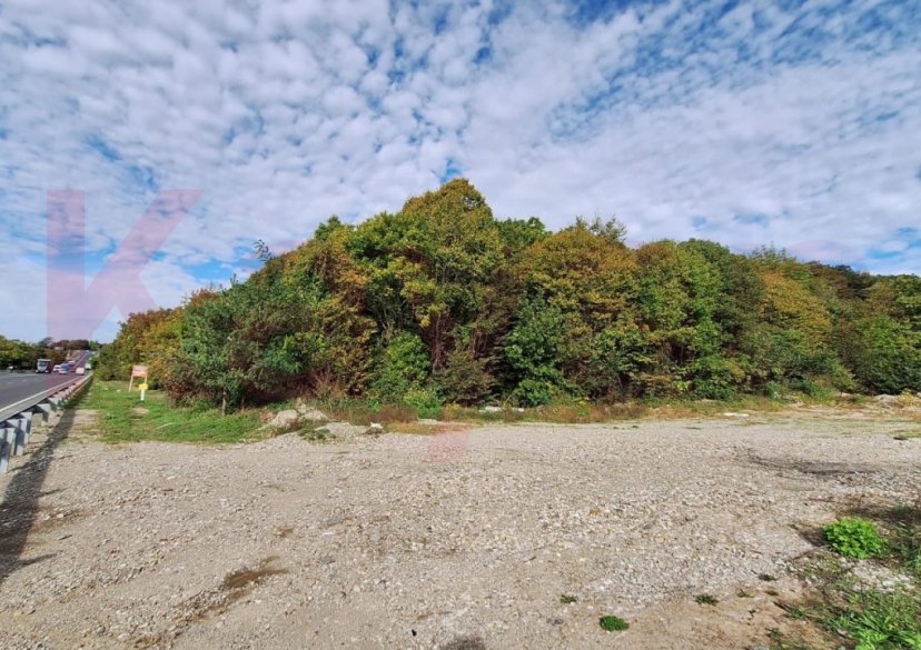 Продажа земельного участка, 40 сот. фото 4