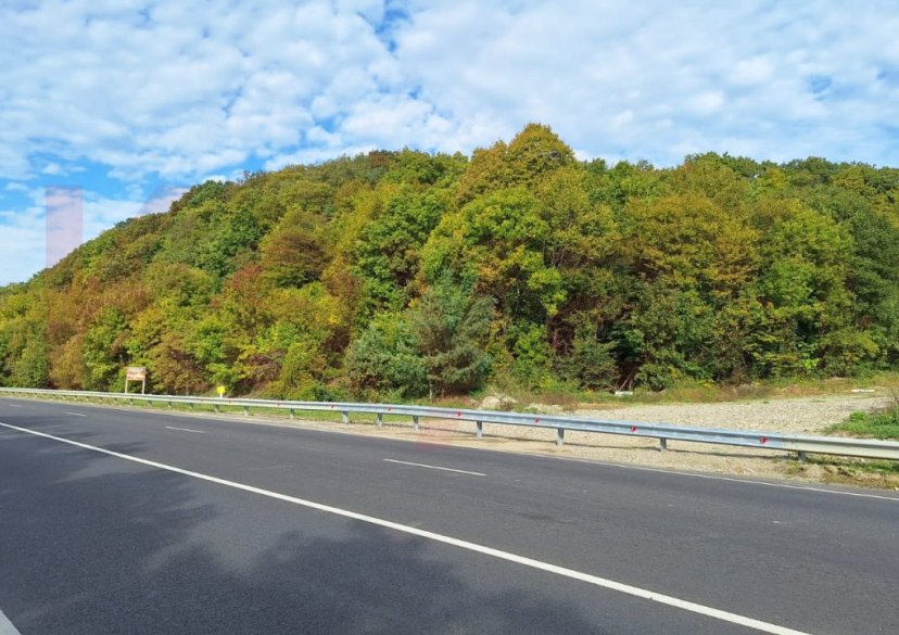 Продажа земельного участка, 40 сот. фото 5