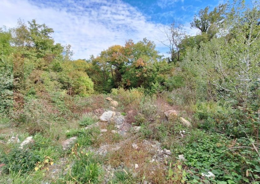 Продажа земельного участка, 40 сот. фото 2 Продажа земельного участка, 40 сот. фото 2