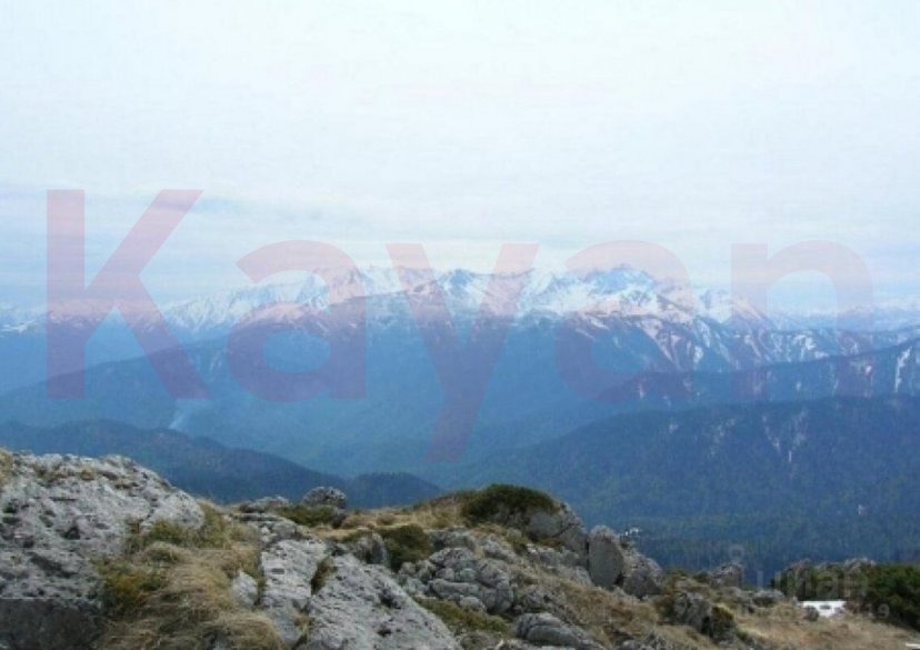 Продажа земельного участка, 100 сот. фото 0