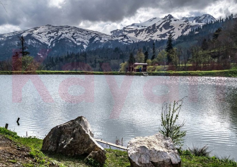 Продажа земельного участка, 100 сот. фото 1 Продажа земельного участка, 100 сот. фото 1