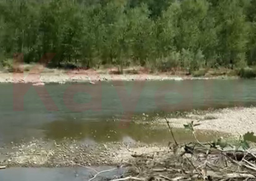 Продажа земельного участка, 660 сот. фото 4