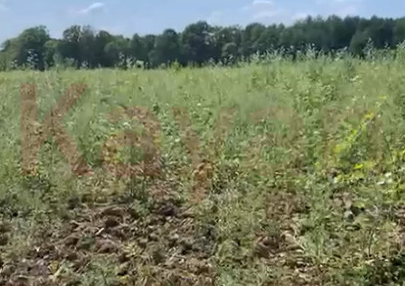 Продажа земельного участка, 660 сот. фото 5