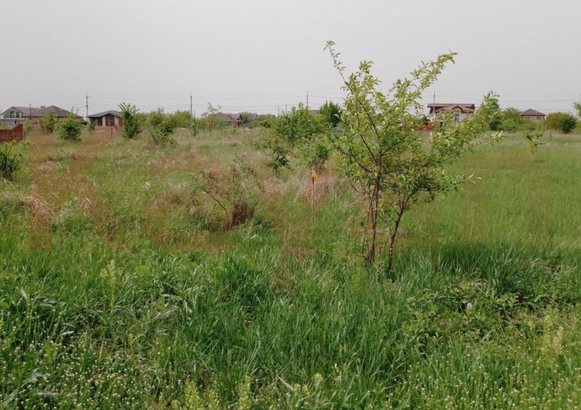 Продажа земельного участка, 7 сот. фото 1