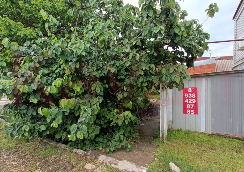 Продажа объекта, 88 кв.м фото 13